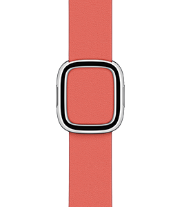Apple Watch 38/40/41 mm Modernes Lederarmband, zitruspink, groß