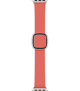 Apple Watch 38/40/41 mm Modernes Lederarmband, zitruspink, groß&gt;