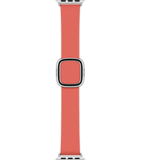 Apple Watch 38/40/41 mm Modernes Lederarmband, zitruspink, groß&gt;