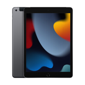 iPad Wi-Fi + Cellular, 256GB, space grau, 10.2&amp;quot; (9.Gen.)