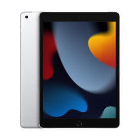 iPad Wi-Fi + Cellular, 64GB, silber, 10.2&amp;quot; (9.Gen.)&amp;gt;