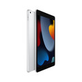 iPad Wi-Fi, 256GB, silber, 10.2" (9.Gen.)>