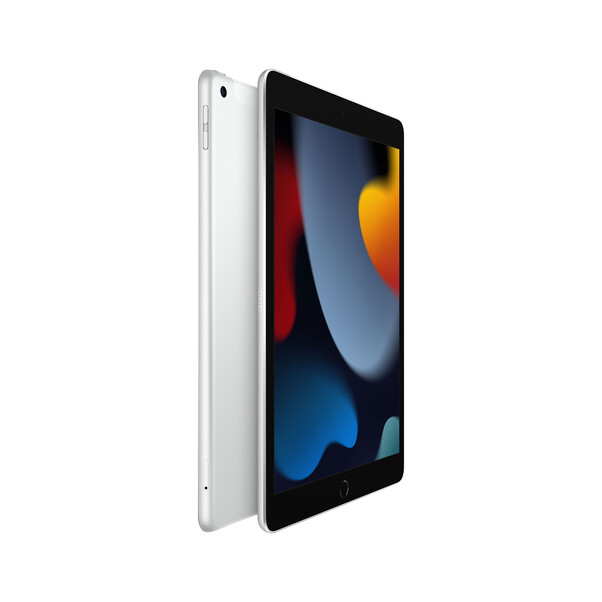 iPad Wi-Fi + Cellular, 256GB, silber, 10.2" (9.Gen.)>