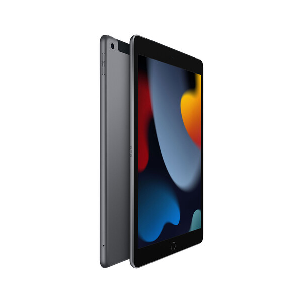 iPad Wi-Fi + Cellular, 256GB, space grau, 10.2" (9.Gen.)
