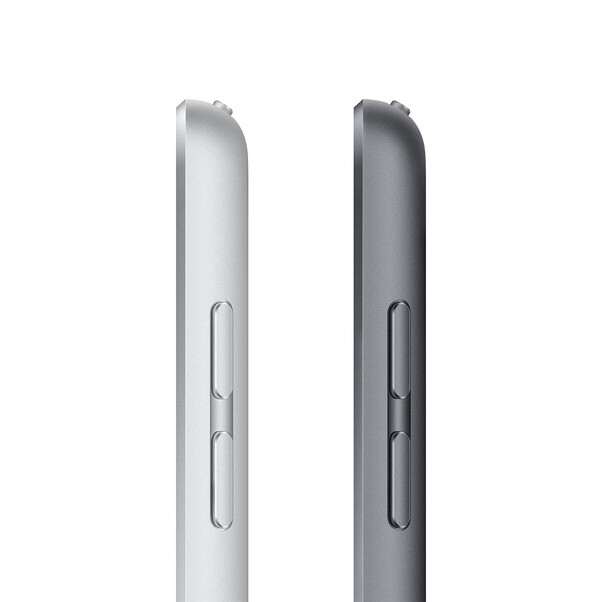 iPad Wi-Fi + Cellular, 256GB, space grau, 10.2" (9.Gen.)