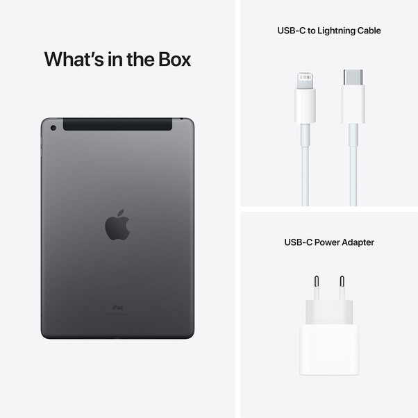 iPad Wi-Fi + Cellular, 256GB, space grau, 10.2" (9.Gen.)