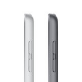 iPad Wi-Fi + Cellular, 64GB, silber, 10.2" (9.Gen.)>