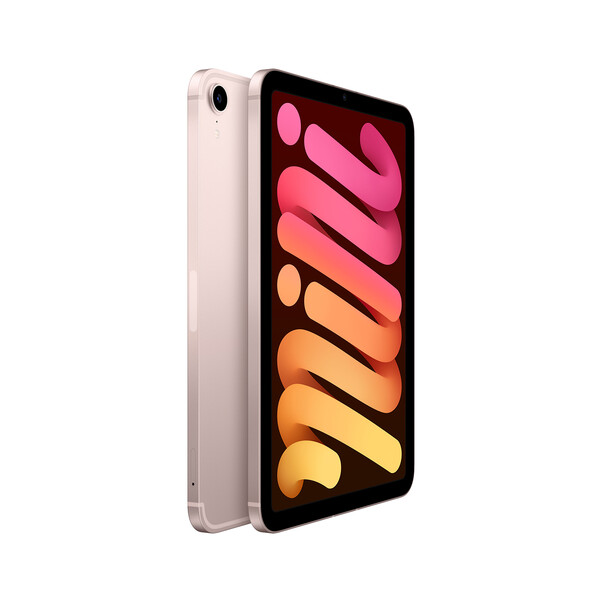 iPad mini Wi-Fi + Cellular, 64GB mit Retina Display, rose, (6.Gen.)&gt;