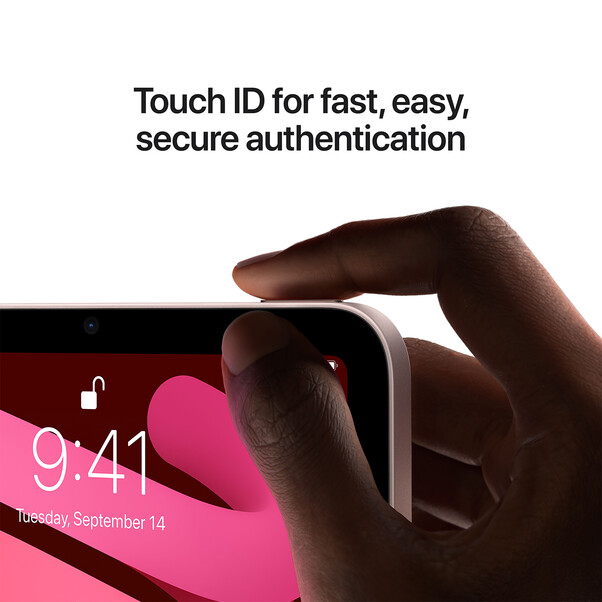 iPad mini Wi-Fi + Cellular, 256GB mit Retina Display, rose, (6.Gen.)>