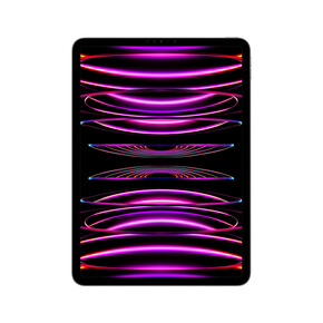 iPad Pro Wi-Fi, 256GB, space grau, 11&amp;quot; (4.Gen.)&amp;gt;