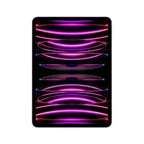 iPad Pro Wi-Fi, 256GB, space grau, 11&amp;quot; (4.Gen.)&amp;gt;