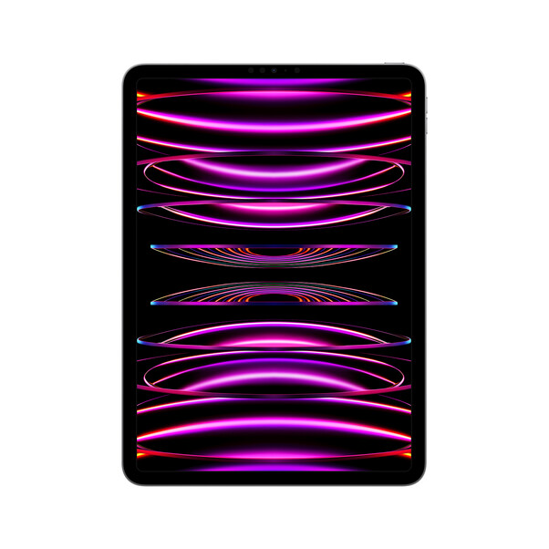 iPad Pro Wi-Fi, 256GB, space grau, 11" (4.Gen.)>