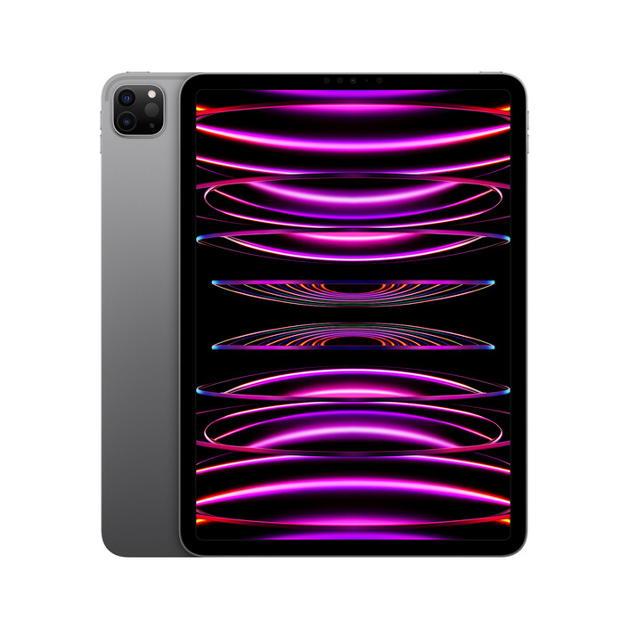 iPad Pro Wi-Fi, 256GB, space grau, 11" (4.Gen.)>