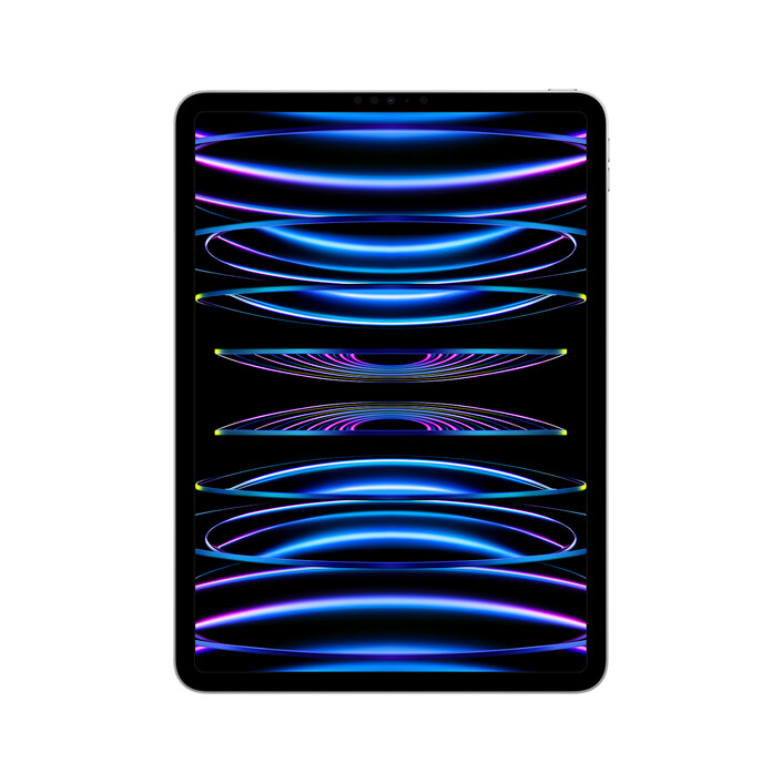 iPad Pro Wi-Fi, 256GB, silber, 11" (4.Gen.)