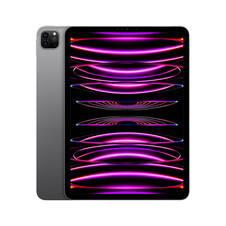 iPad Pro Wi-Fi, 256GB, space grau, 11&quot; (4.Gen.)&gt;