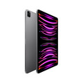 iPad Pro Wi-Fi, 1TB, space grau, 12.9" (6.Gen.)>