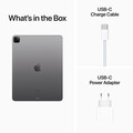 iPad Pro Wi-Fi, 1TB, space grau, 12.9&quot; (6.Gen.)&gt;