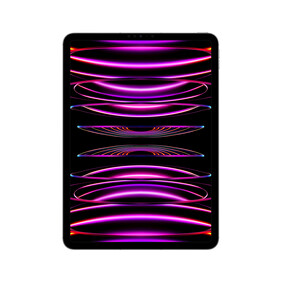 iPad Pro Wi-Fi + Cellular, 1TB, space grau, 11&amp;quot; (4.Gen.)&amp;gt;