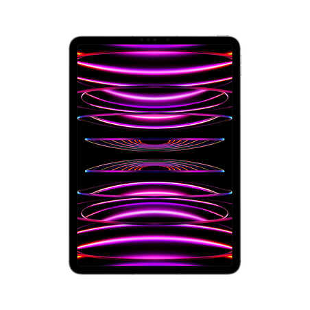 iPad Pro Wi-Fi + Cellular, 1TB, space grau, 11" (4.Gen.)>