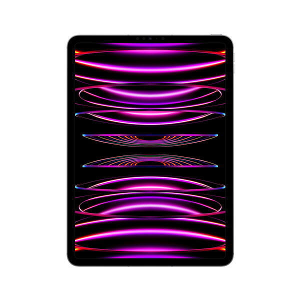 iPad Pro Wi-Fi + Cellular, 1TB, space grau, 11" (4.Gen.)>