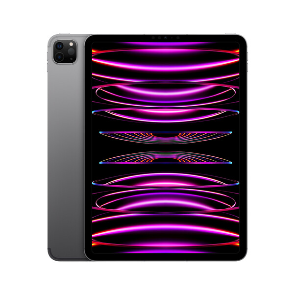 iPad Pro Wi-Fi + Cellular, 1TB, space grau, 11" (4.Gen.)>