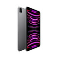 iPad Pro Wi-Fi + Cellular, 1TB, space grau, 11" (4.Gen.)>