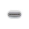 Apple USB-C zu Lightning Adapter