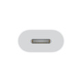 Apple USB-C zu Lightning Adapter
