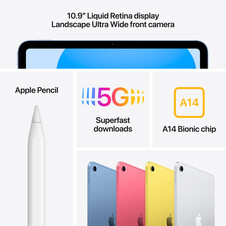 iPad Wi-Fi + Cellular, 256GB, silber, 10.9&quot; (10.Gen.)&gt;