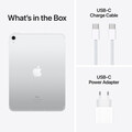 iPad Wi-Fi + Cellular, 256GB, silber, 10.9&quot; (10.Gen.)&gt;