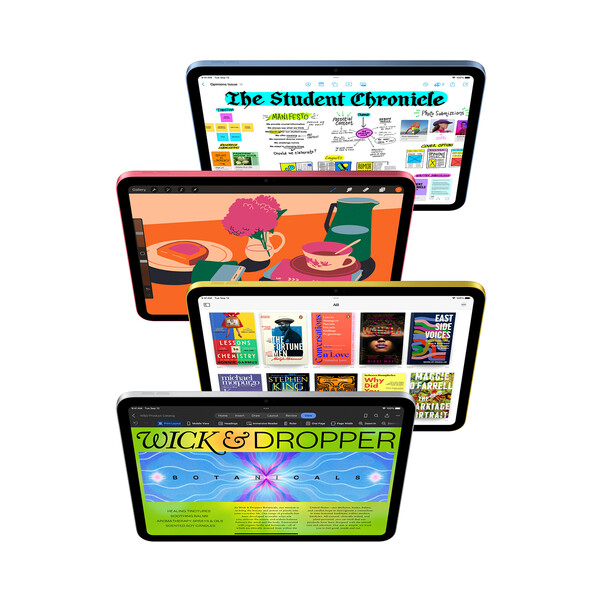 iPad Wi-Fi + Cellular, 256GB, blau, 10.9" (10.Gen.)