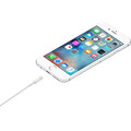 Sie sehen das Produktbild 02 von Apple Lightning auf USB Kabel (1m) Apple Lightning auf USB Kabel (1m)