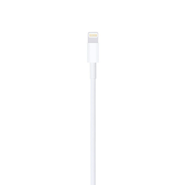 Apple Lightning auf USB Kabel (1m)