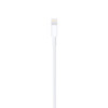 Apple Lightning auf USB Kabel (1m)