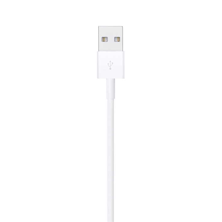 Apple Lightning auf USB Kabel (1m)