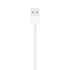 Apple Lightning auf USB Kabel (1m)