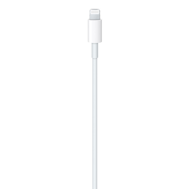 Apple USB-C auf Lightning Kabel (1m)