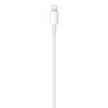 Apple USB-C auf Lightning Kabel (1m)