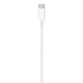 Apple USB-C auf Lightning Kabel (1m)