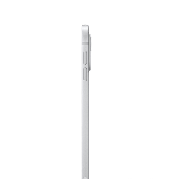 Apple iPad Pro 11&quot; Wi-Fi mit Standardglas, 256GB, silber