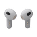 JBL Live Flex 3, kabelloser In-Ear Kopfhörer, silber