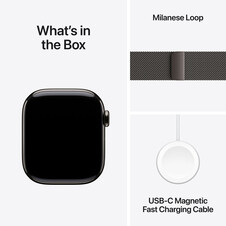 Apple Watch Series 10 GPS + Cellular, Titan schiefer, 42mm mit Milanaise-Armband, schiefer