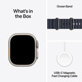 Apple Watch Ultra 2 GPS + Cellular, Titan natur, 49mm mit Ocean-Armband, blau