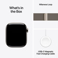 Apple Watch Series 10 GPS + Cellular, Titan natur, 42mm mit Milanaise-Armband, natur