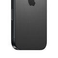 Greentouch A | iPhone 16 Pro, 256GB, Titan schwarz