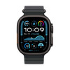 Apple Watch 49mm Ocean-Armband, schwarz - Gehäusefarbe natur