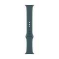 Apple Watch 42mm Sportarmband, seegrün - M/L