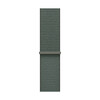 Apple Watch 42mm Sport Loop, salbeigrün>
