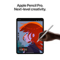 11" iPad Pro Wi-Fi + Cellular 256 GB Standardglas - Silber (M4)