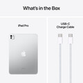 11" iPad Pro Wi-Fi 256 GB Standardglas - Silber (M4)